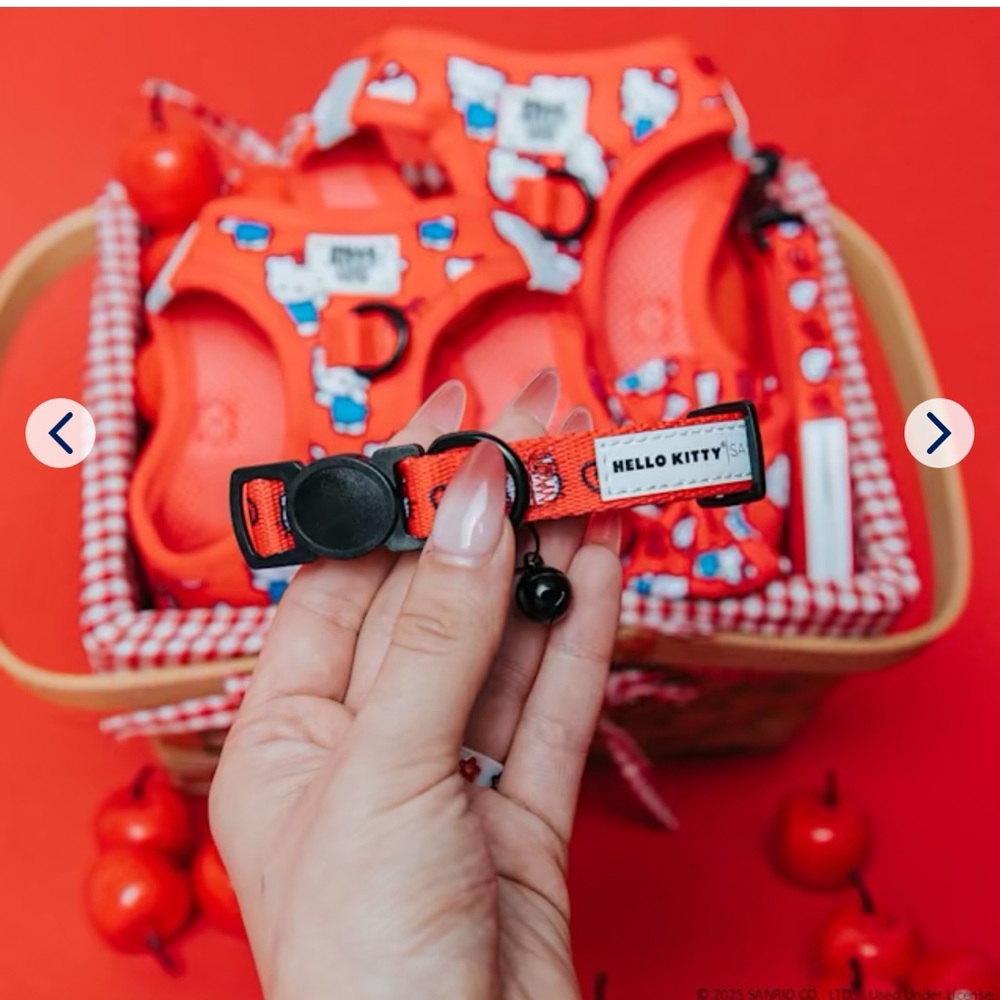 Hello Kitty Red Pet Accessory Set, Collar! NWT! ❤️